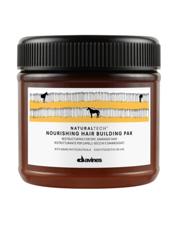 Davines Naturaltech Nourishing Hair Building Pak 250ml